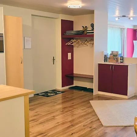 公寓 Am Ryschbaechli Appartement-fewo- Dusche Oder Bad- Wc 6-bettwohnung By Interhome